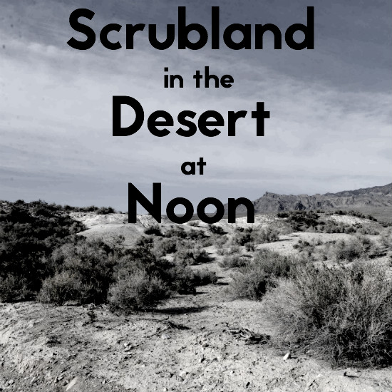 scrubland