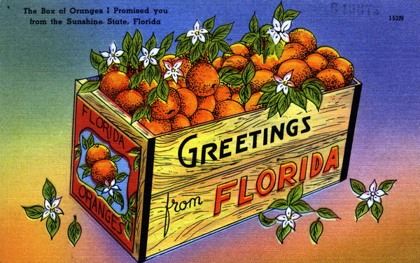 florida_postcard