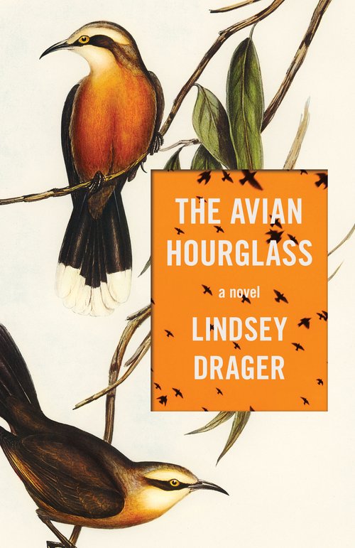 Afternoon Bites: Lindsey Drager on Writing, Marie-Helene Bertino’s Collection, David Grubbs Returns, and More