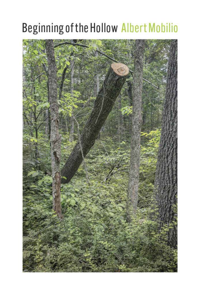 Beginning of the Hollow