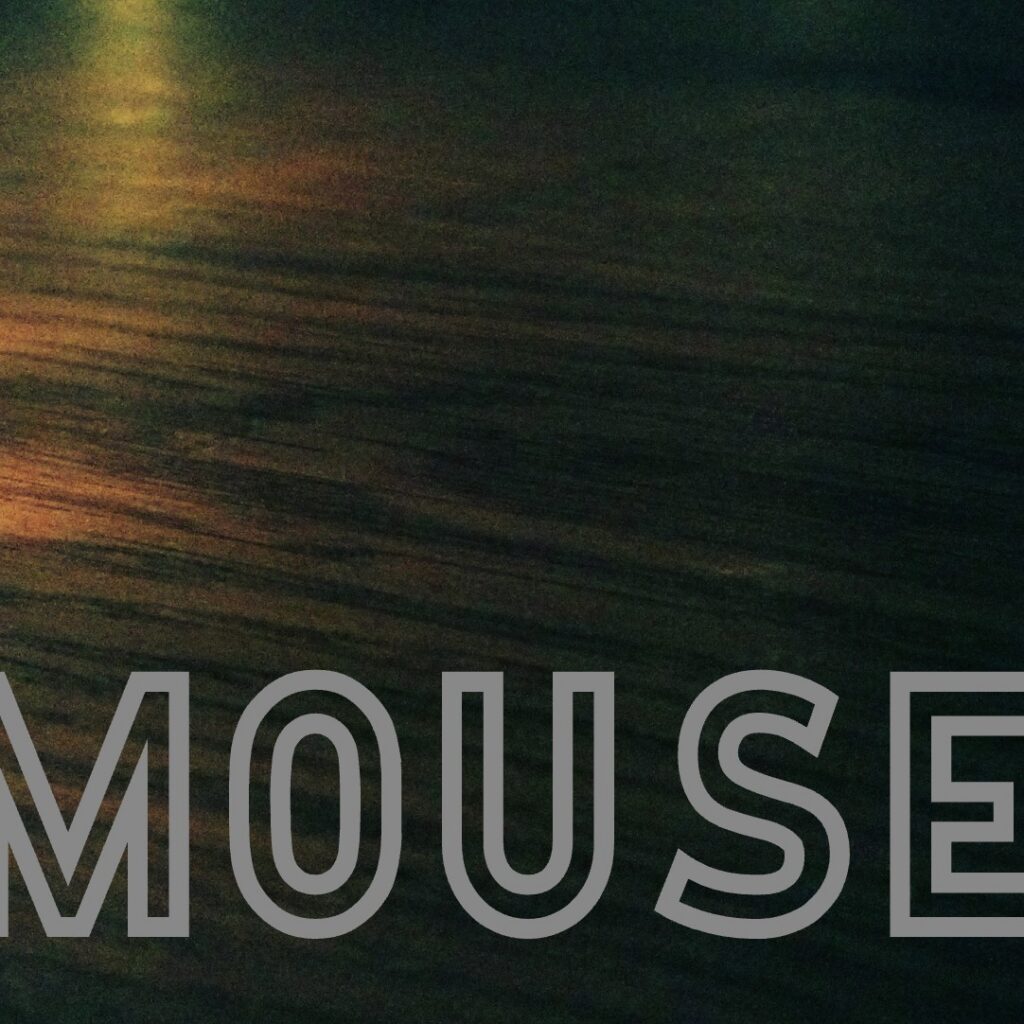 Mouse
